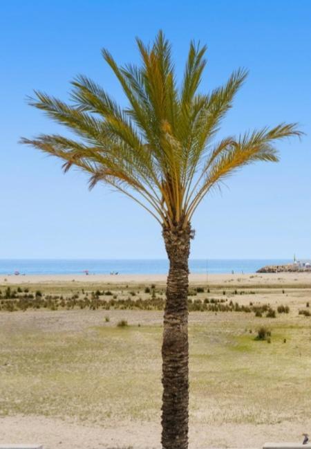 1ª Linea De Playa. Apartamento: La Calma โกมาร์รูกา ภายนอก รูปภาพ